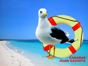 Cabañas Juan Gaviota